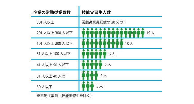 技能実習生の受入れ人数枠